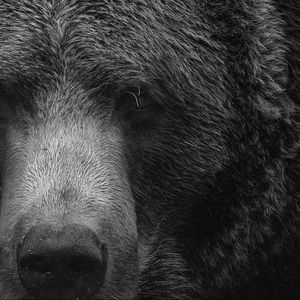 Meet your Posher, Diego